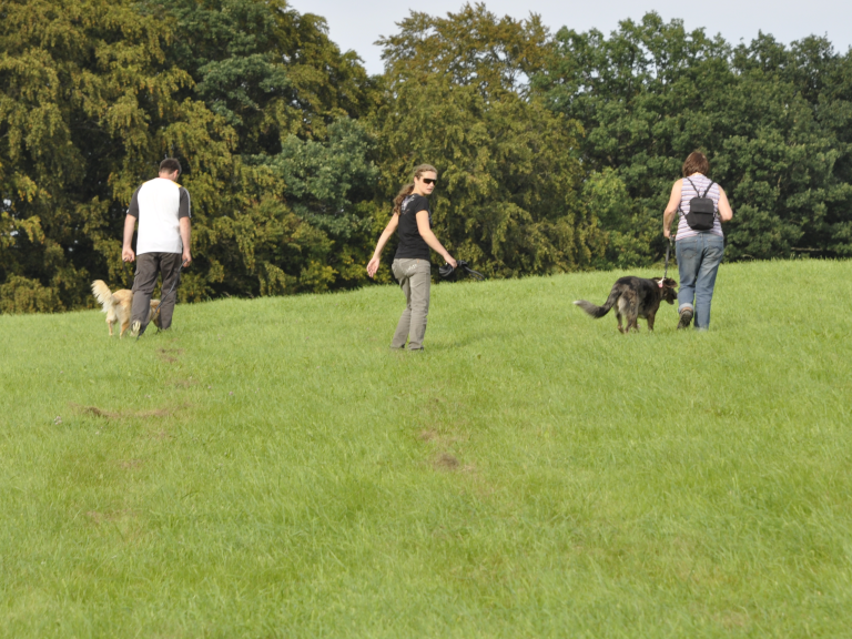 Hundetraining - Leinenführigkeit mit Yvonne
