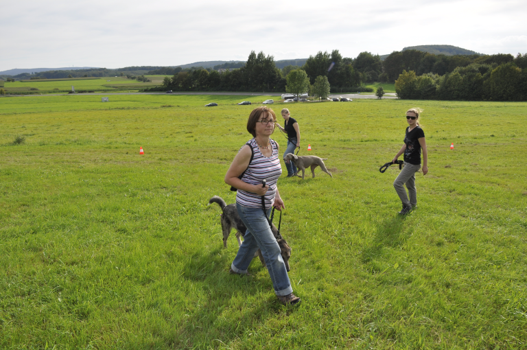 Hundetraining mit Yvonne